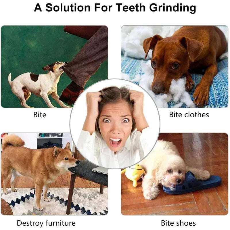 SmartBite™ Dog Puzzle Toy