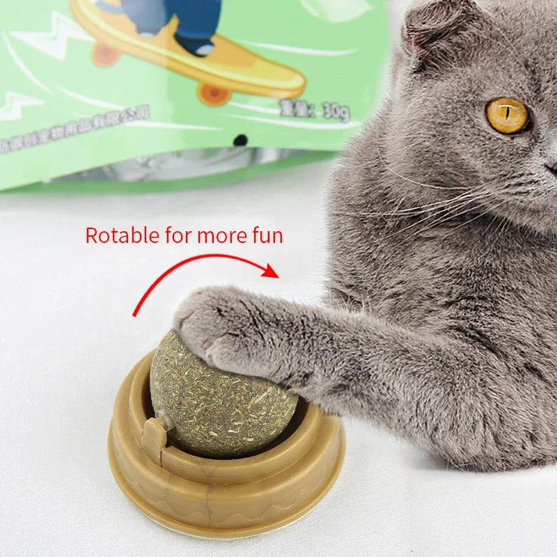 The Magic Catnip Lick-Ball